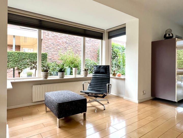 Foto 8 van Zilverdistel 5