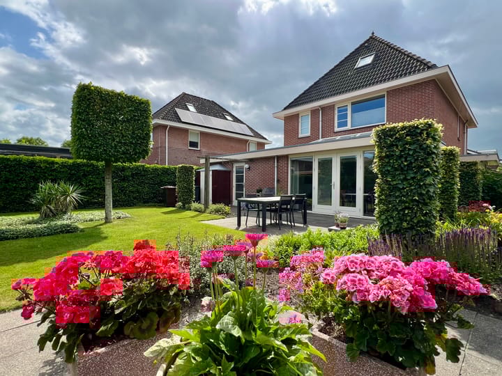 Foto 2 van Zilverdistel 5