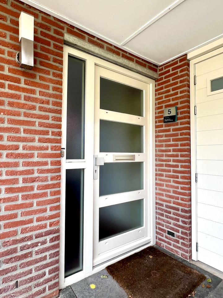 Foto 3 van Zilverdistel 5