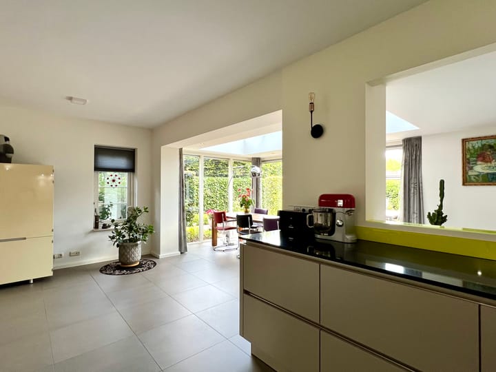 Foto 13 van Zilverdistel 5