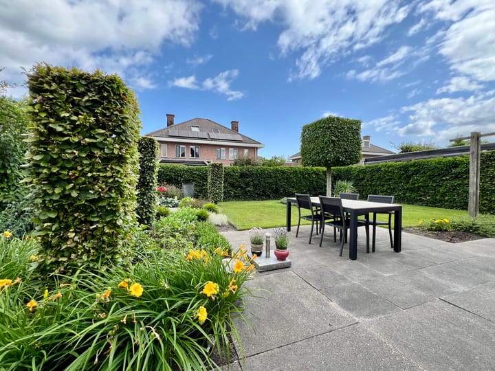 Foto 24 van Zilverdistel 5