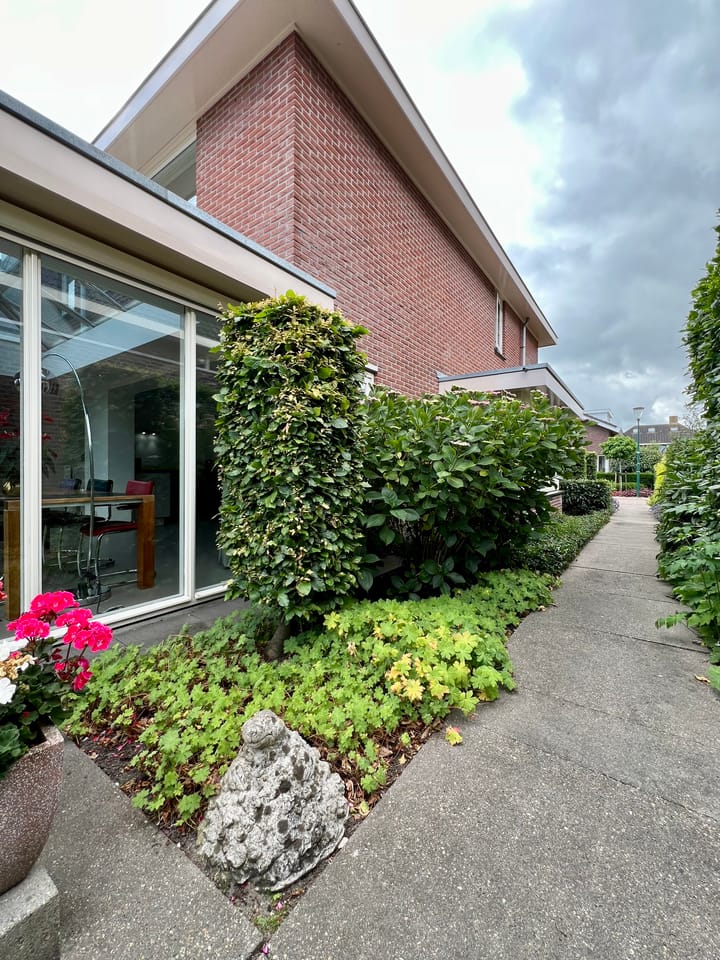 Foto 25 van Zilverdistel 5