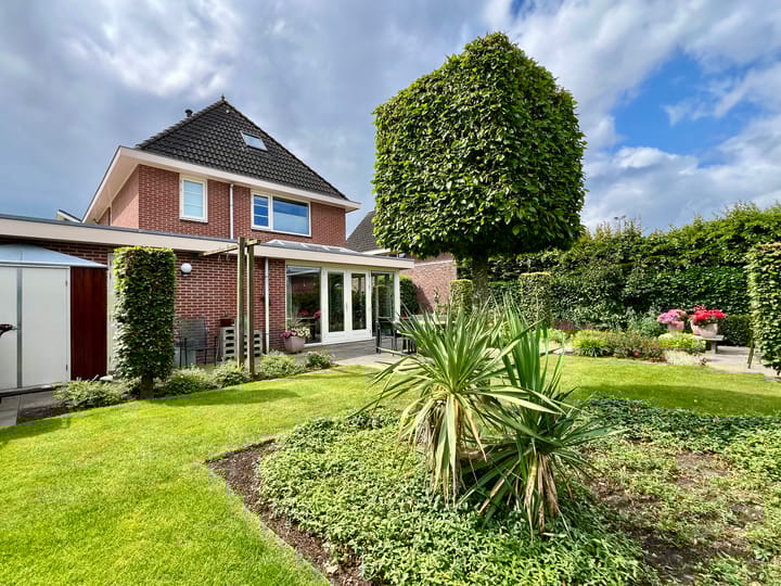 Foto 30 van Zilverdistel 5