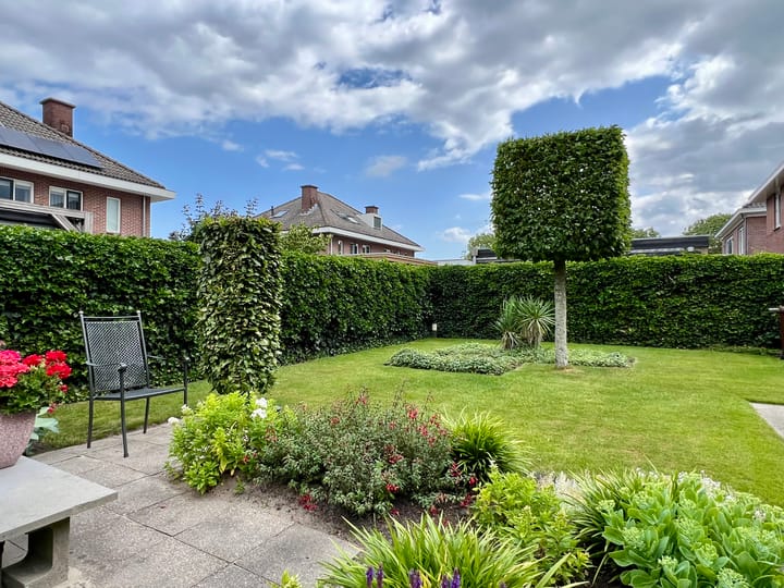 Foto 31 van Zilverdistel 5