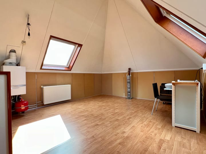 Foto 45 van Zilverdistel 5