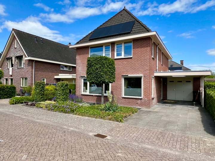 Foto 48 van Zilverdistel 5