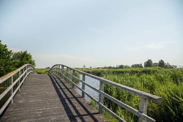 Foto 34 van Wûnsstelling 23