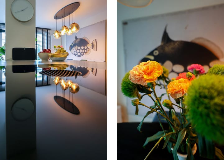 Foto 17 van Kamerlingh Onnesweg 114