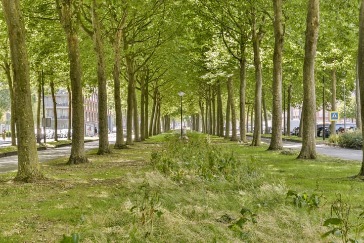 Foto 5 van Bijlmerdreef 1101