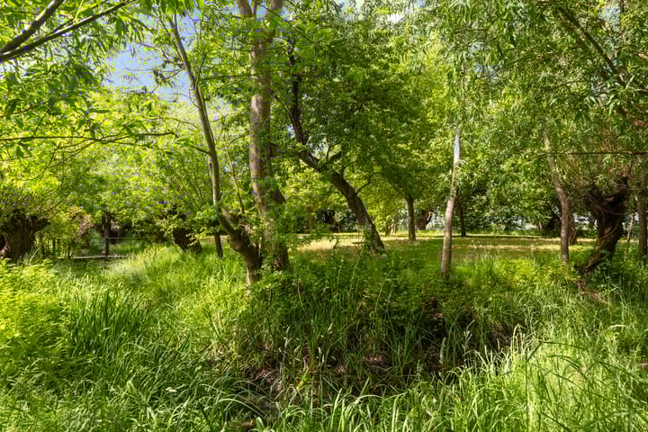 Foto 63 van Hoofdweg 34