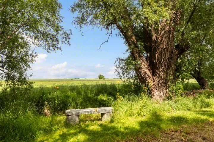 Foto 65 van Hoofdweg 34