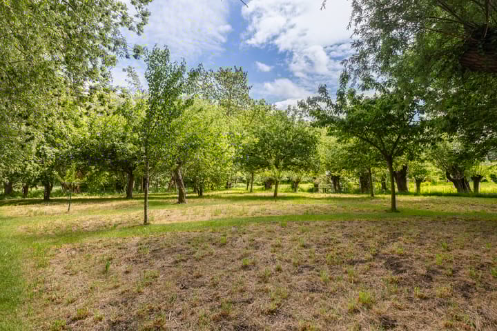 Foto 66 van Hoofdweg 34