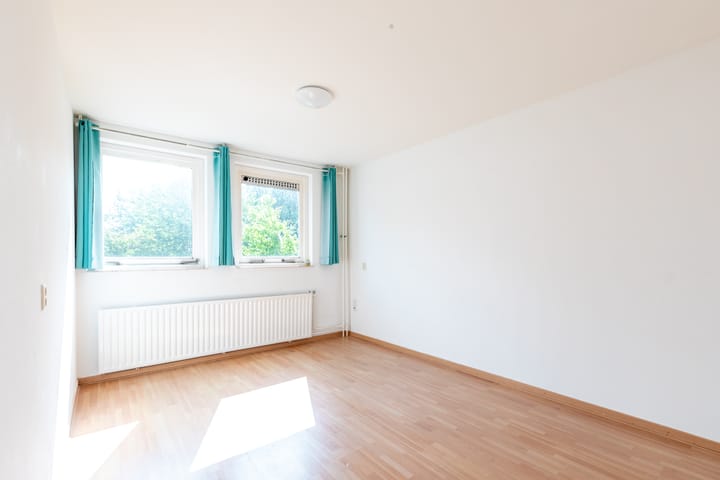 Foto 17 van Schoener 49 33