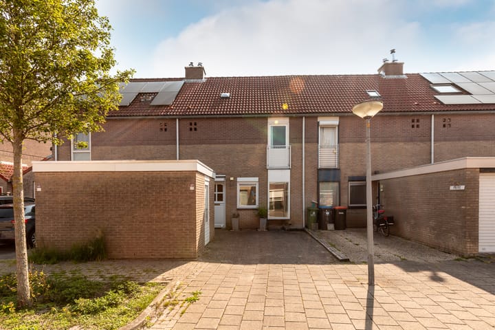 Foto 5 van Schoener 49 33