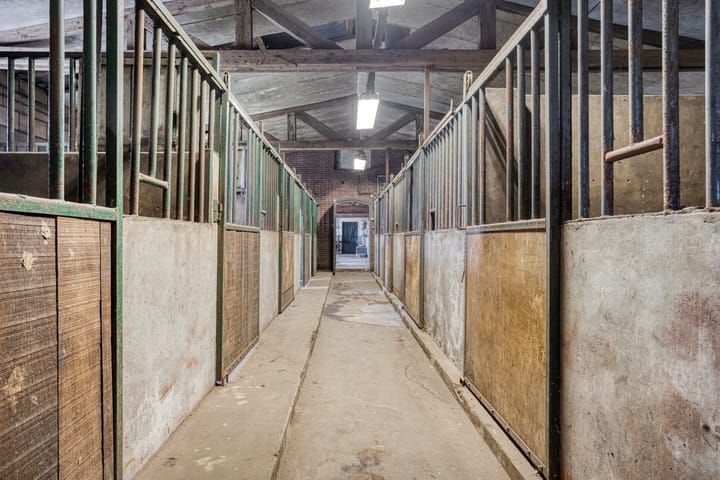 Foto 40 van Bolst 21