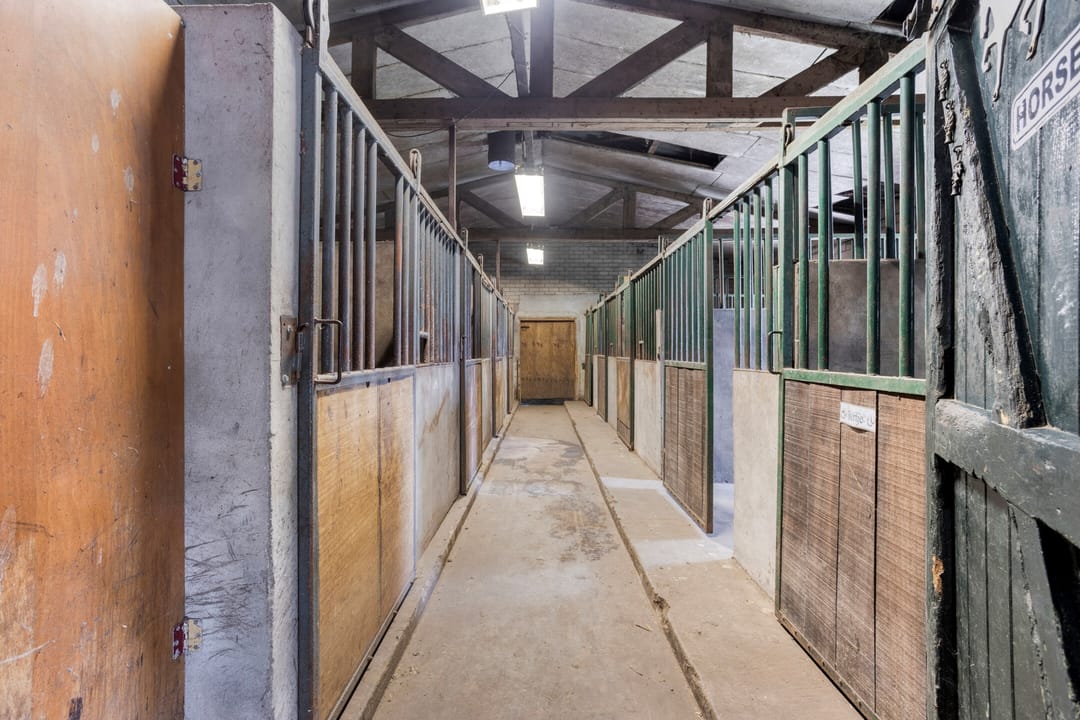 Foto 41 van Bolst 21