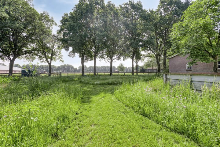 Foto 53 van Bolst 21