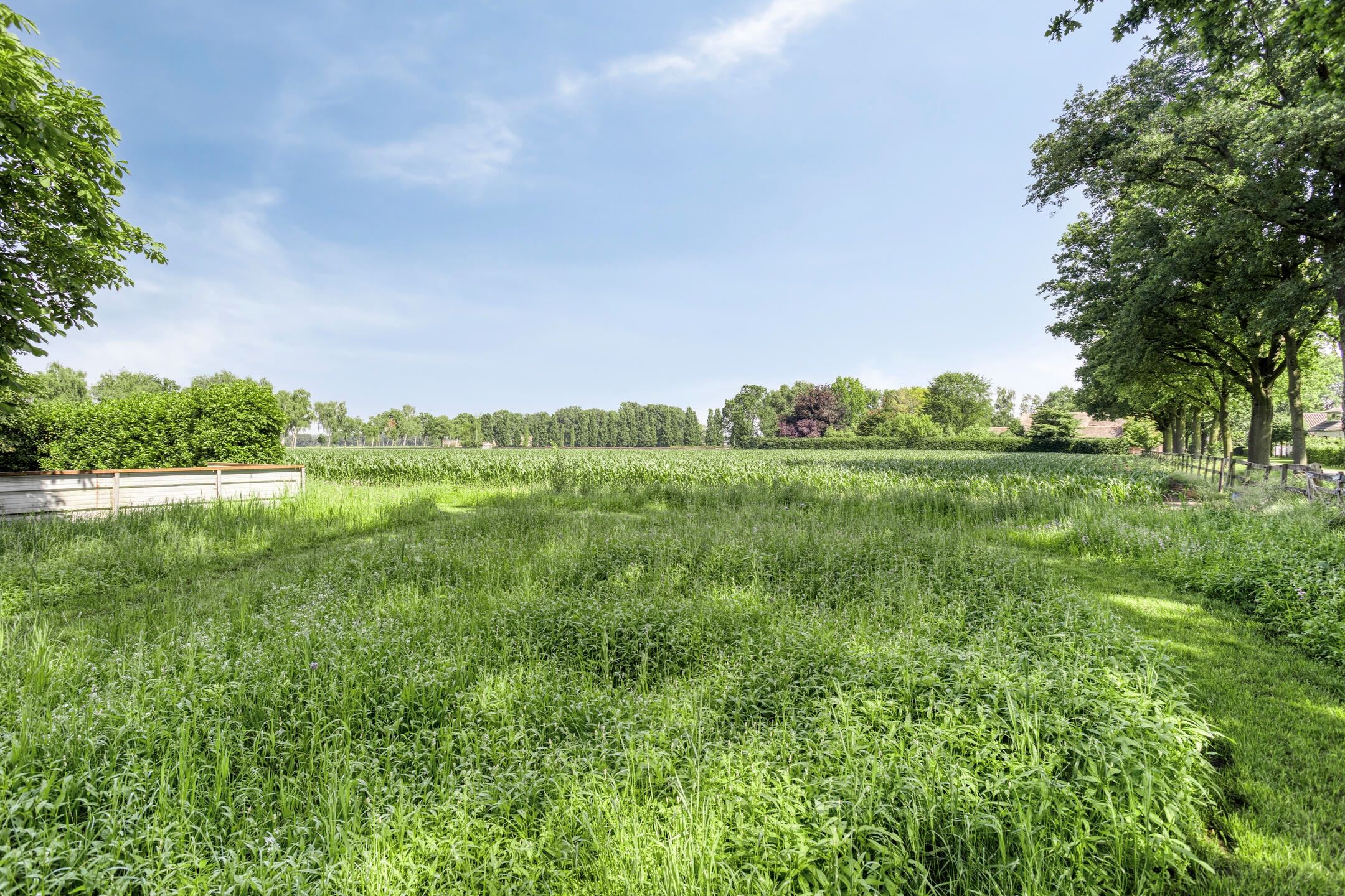 Foto 54 van Bolst 21