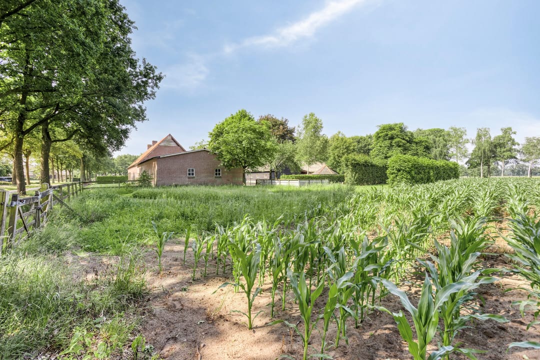 Foto 56 van Bolst 21