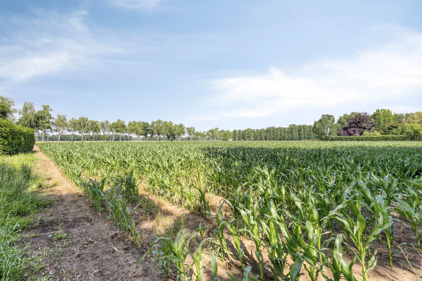 Foto 55 van Bolst 21