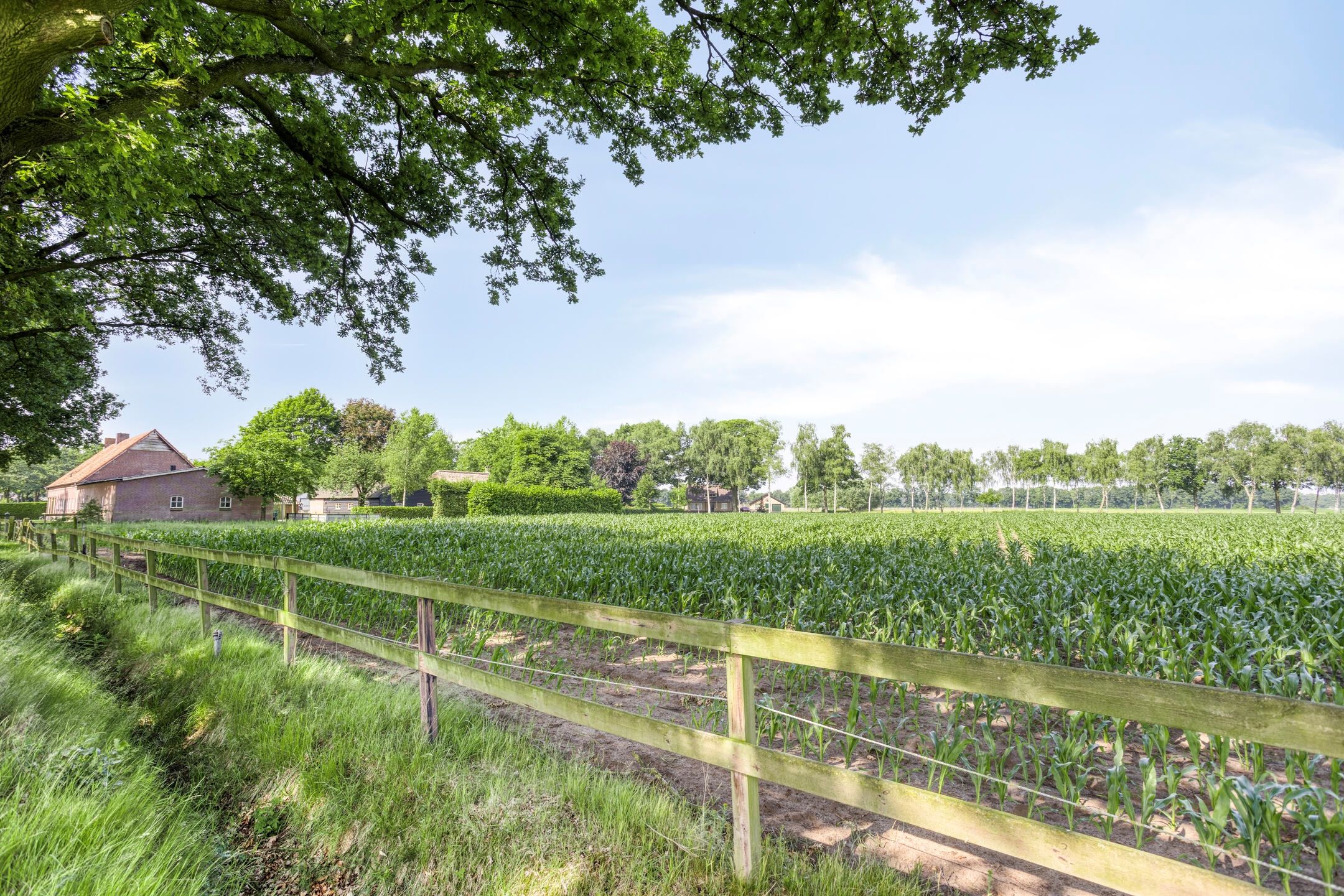 Foto 69 van Bolst 21