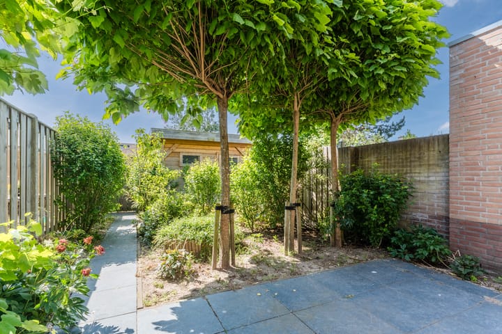 Foto 4 van Scholekster 27