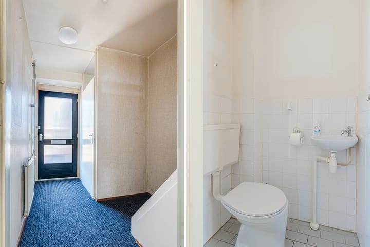 Foto 9 van Scholekster 27