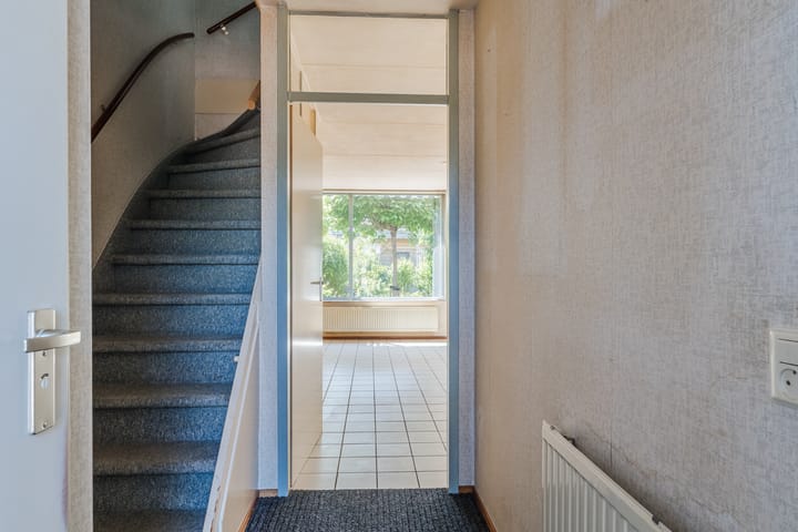 Foto 8 van Scholekster 27