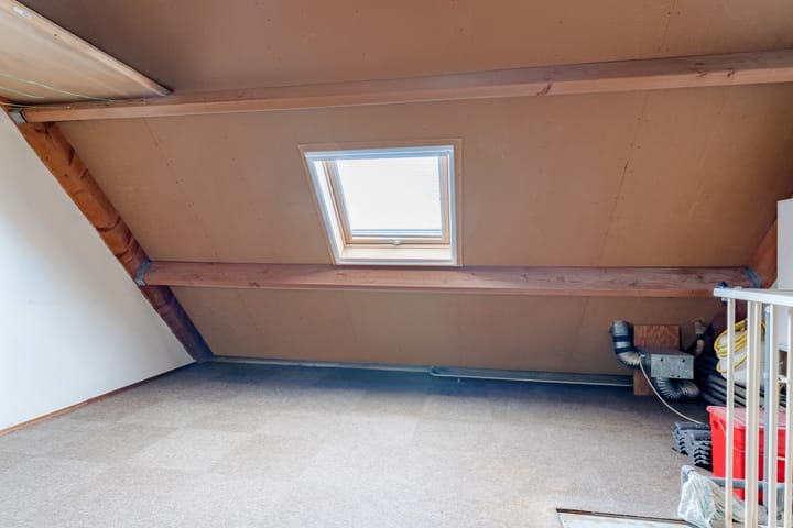 Foto 26 van Scholekster 27