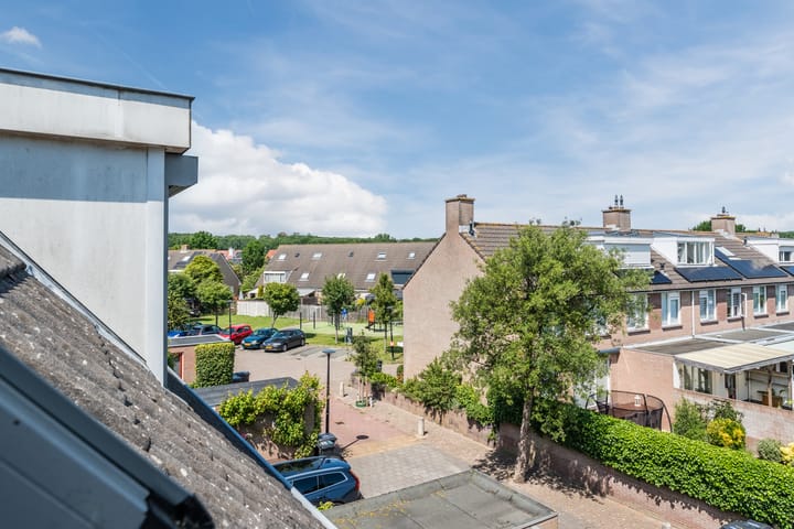 Foto 28 van Scholekster 27