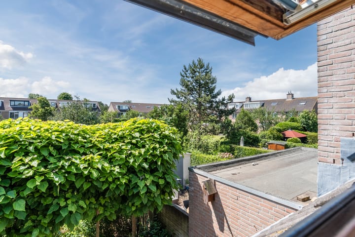 Foto 29 van Scholekster 27