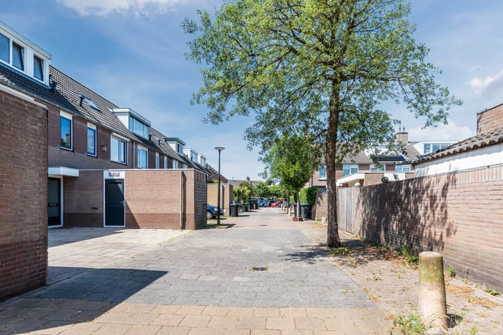 Foto 34 van Scholekster 27