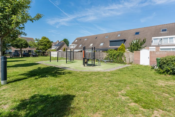 Foto 35 van Scholekster 27