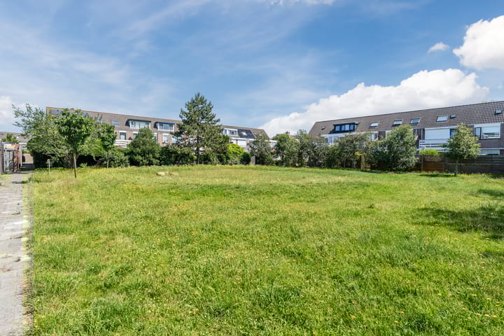 Foto 36 van Scholekster 27