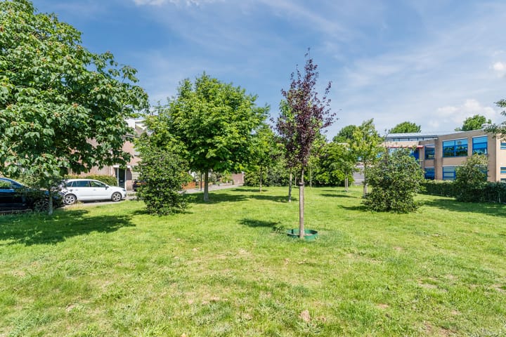 Foto 37 van Scholekster 27