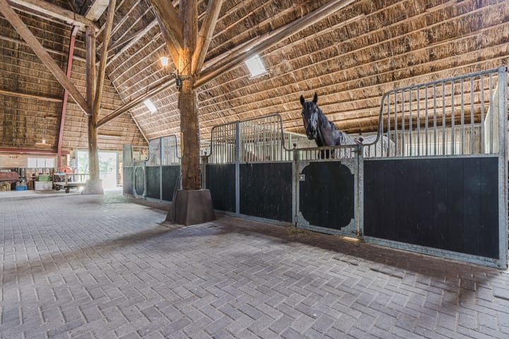 Foto 56 van Grietenijdijk 9