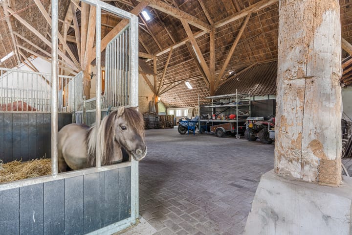 Foto 55 van Grietenijdijk 9