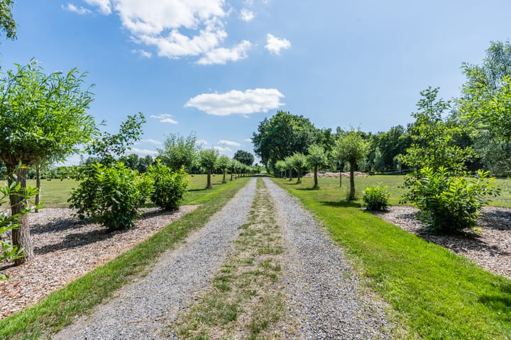 Foto 90 van Grietenijdijk 9