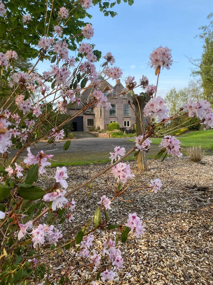 Foto 99 van Grietenijdijk 9