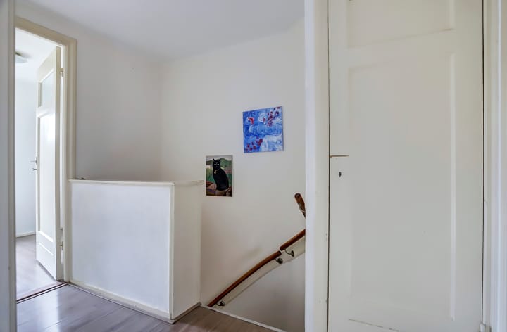 Foto 13 van Dr. Schaepmanstraat 21