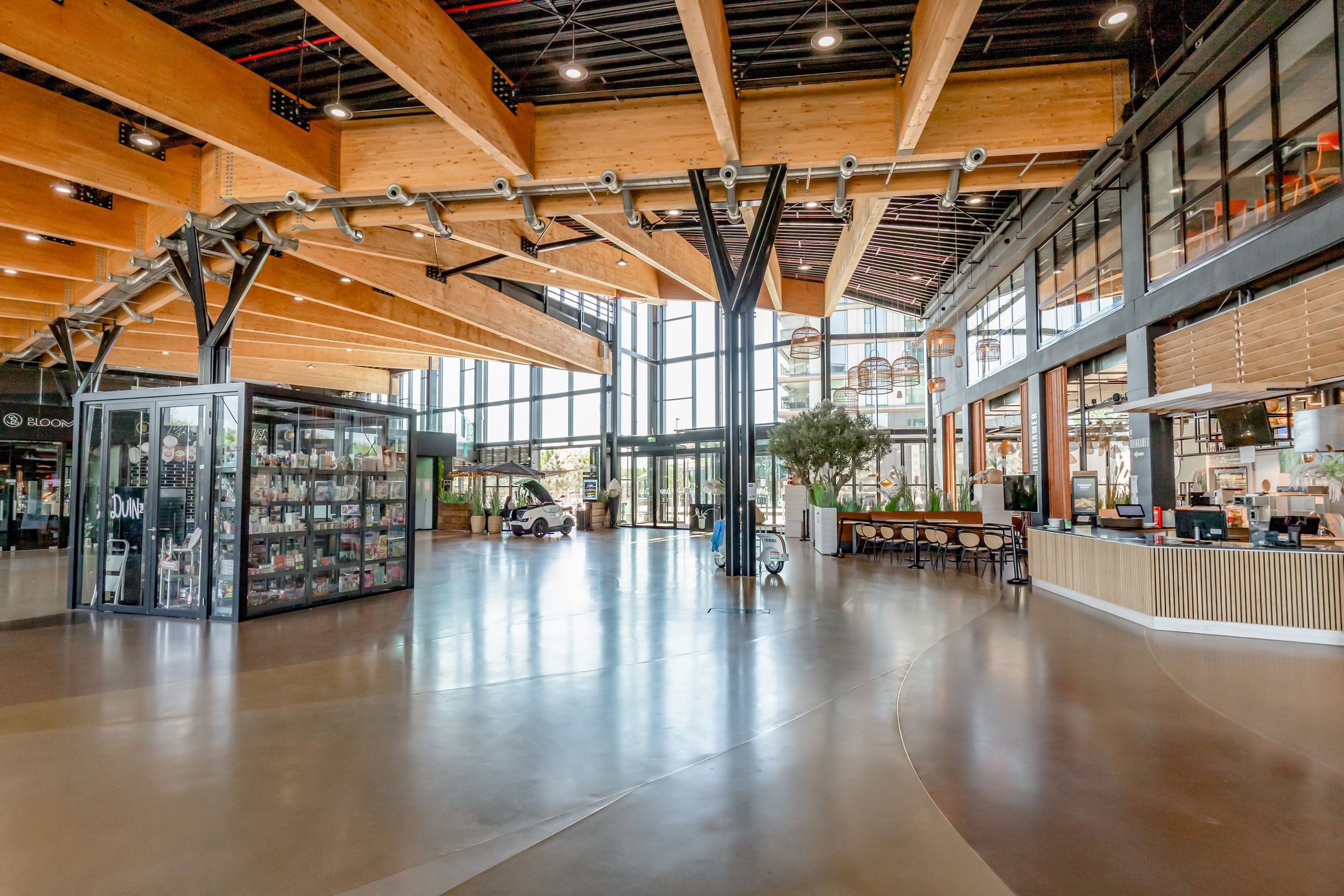 Foto 6 van Zeeduinweg