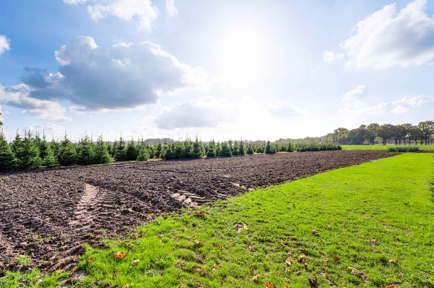 Foto 34 van Coolenstraat 42