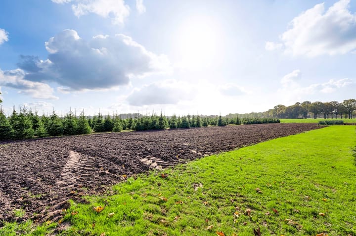 Foto 34 van Coolenstraat 42