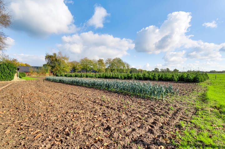 Foto 38 van Coolenstraat 42