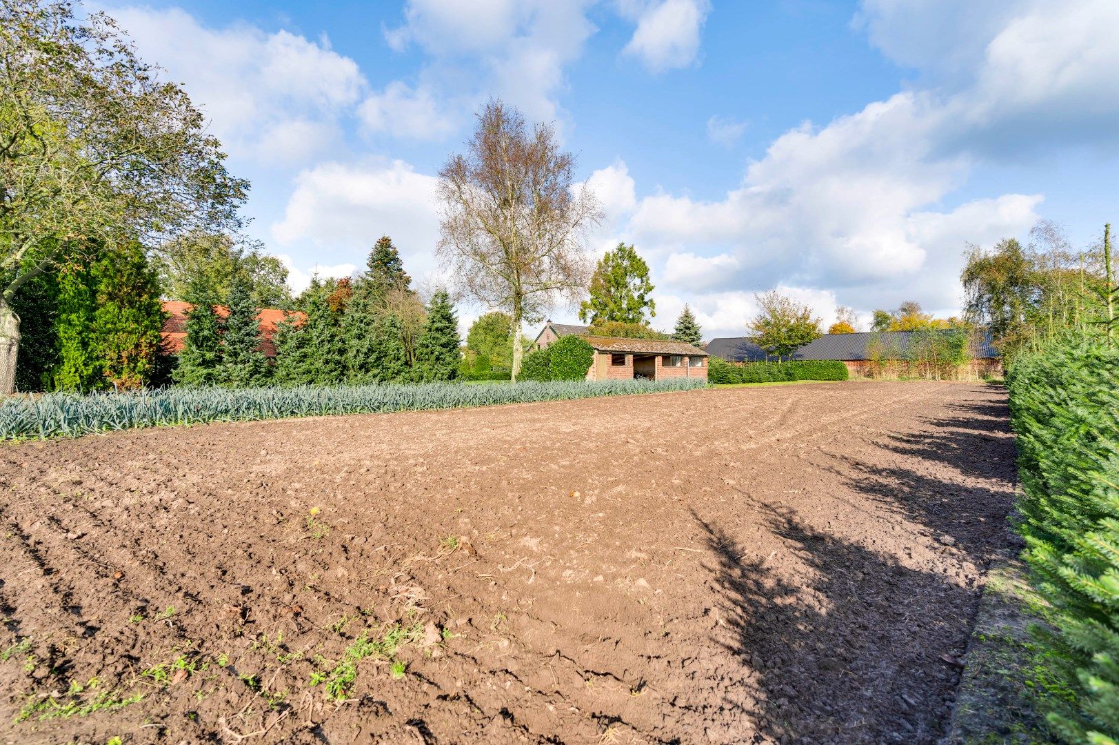 Foto 39 van Coolenstraat 42