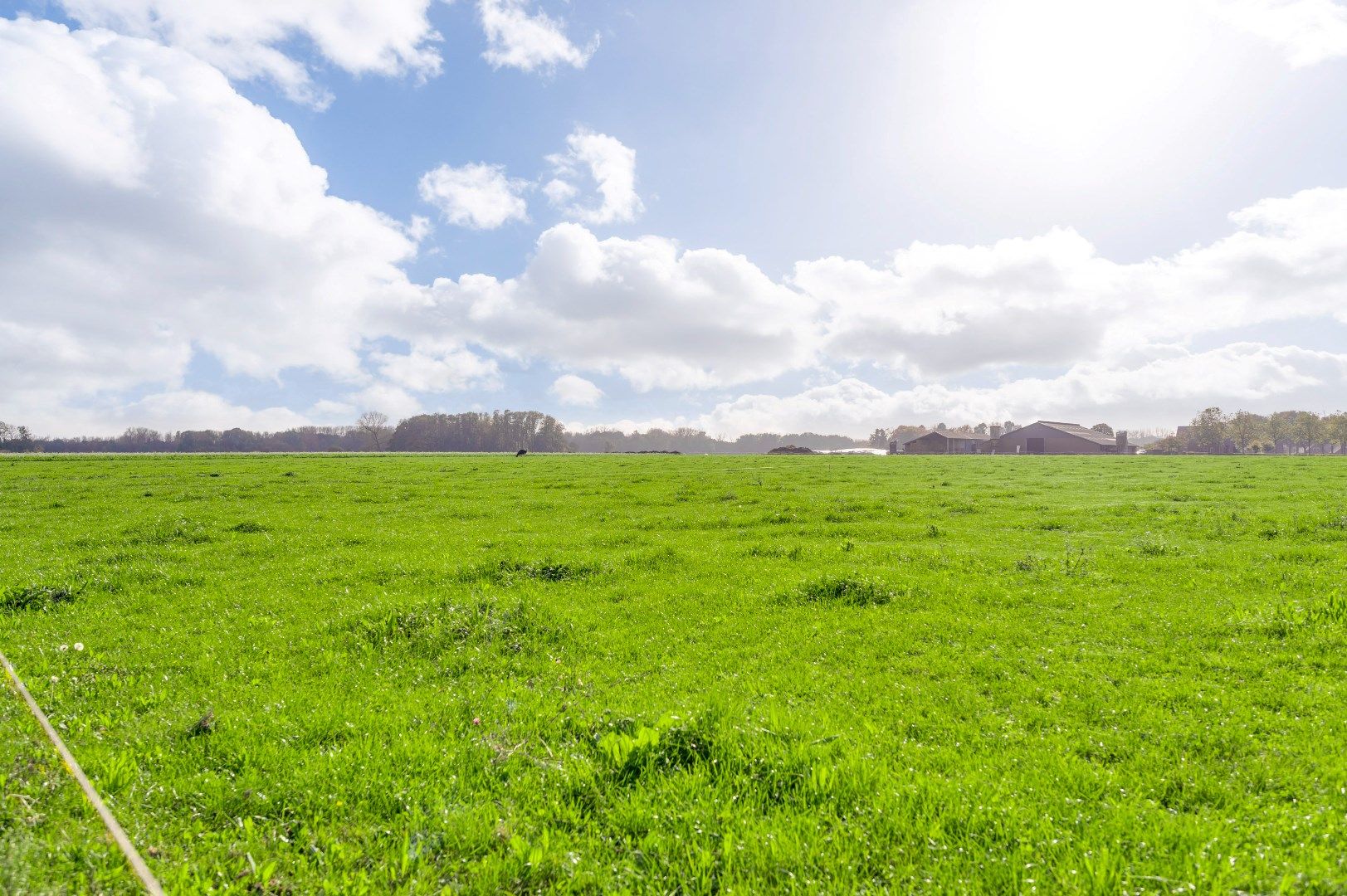 Foto 42 van Coolenstraat 42