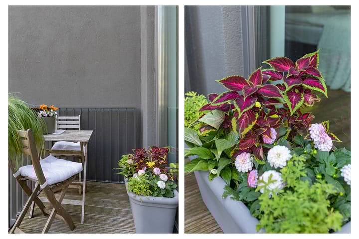 Foto 31 van Nydia Ecurystraat 83