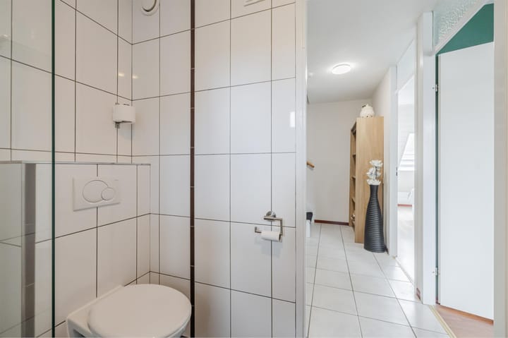 Foto 26 van Iemstukken 66