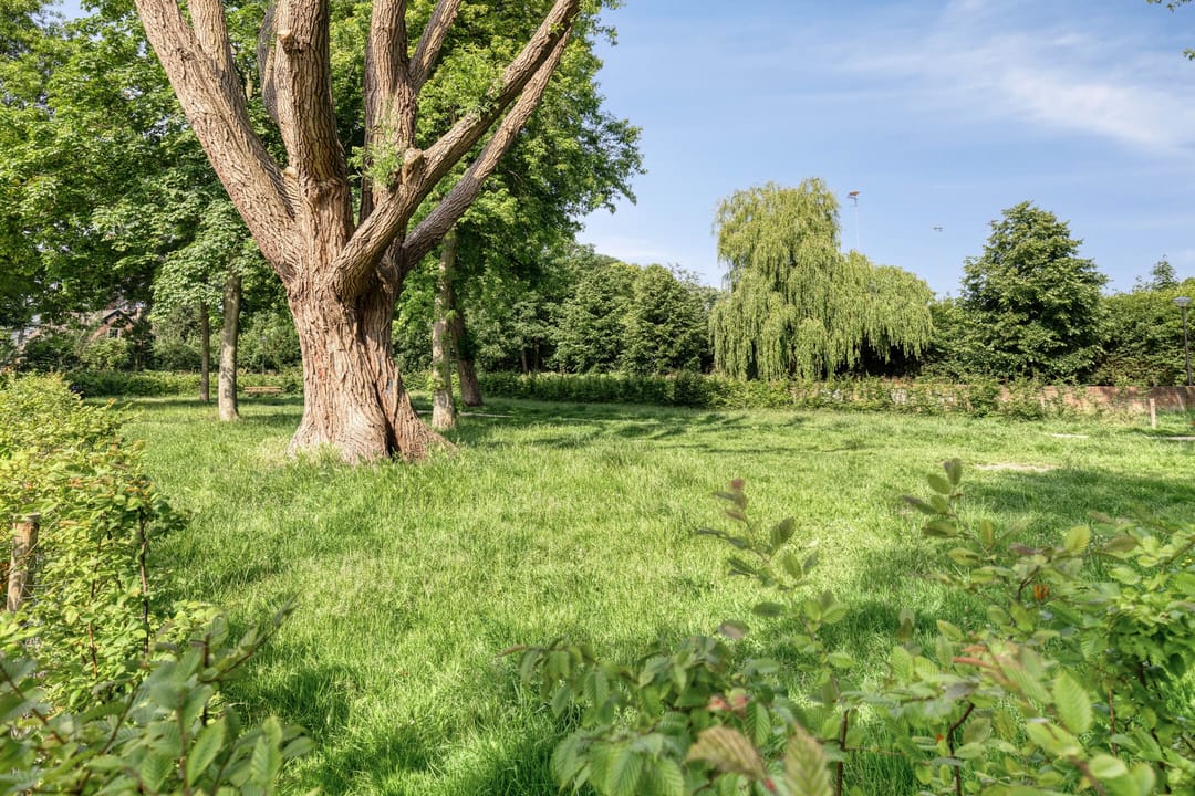 Foto 28 van Acacialaan 25