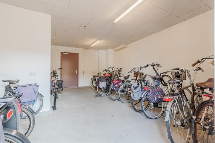 Foto 26 van Zonoord 10